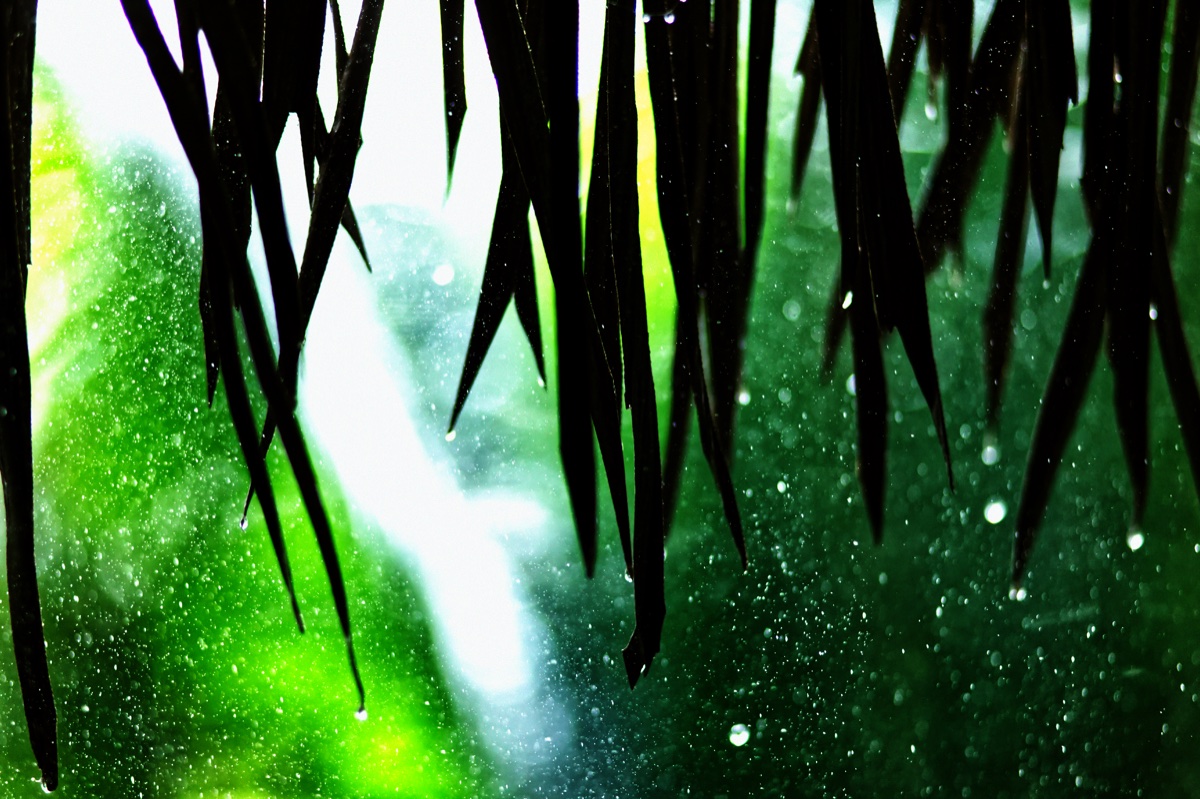 Photo-manipulation piece titled Dripping With Expectations.